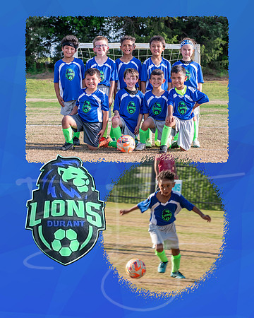lions006