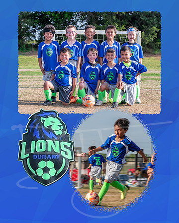 lions007