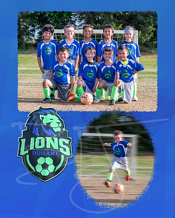 lions001