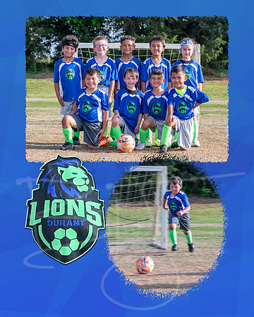 lions003