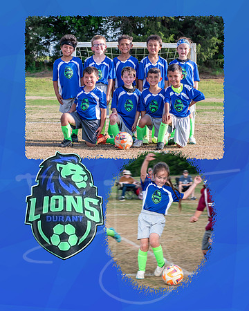 lions008