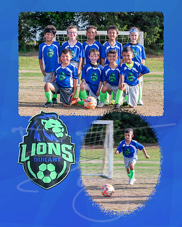lions005
