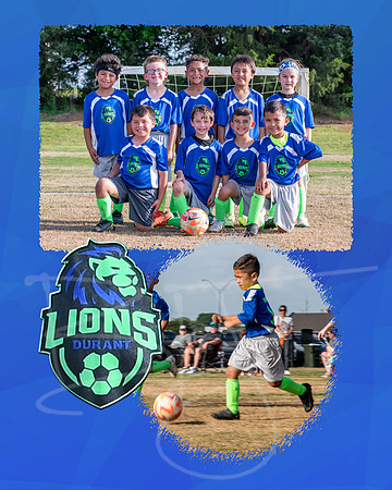 lions009