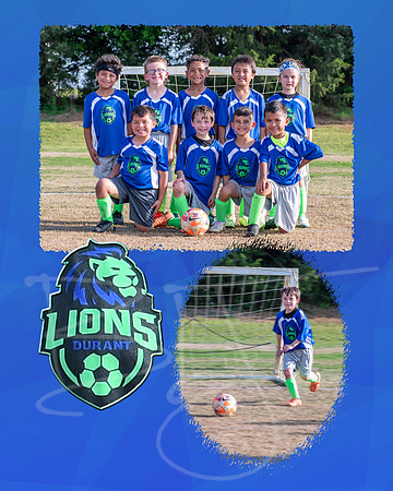 lions002