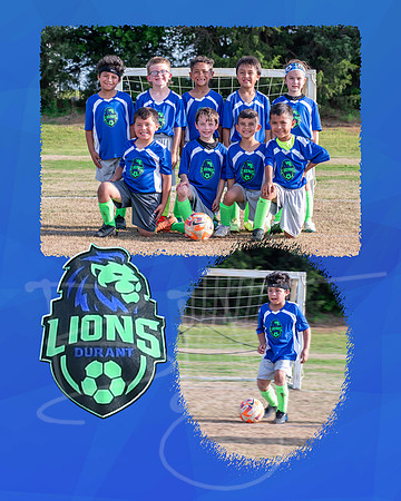 lions004