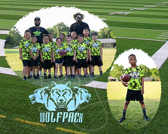 wolfpack007