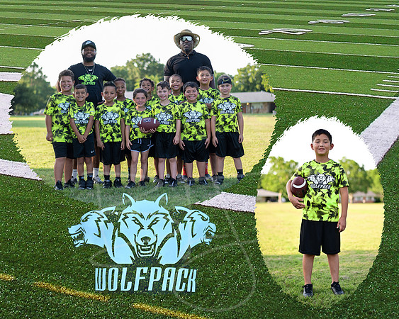 wolfpack009