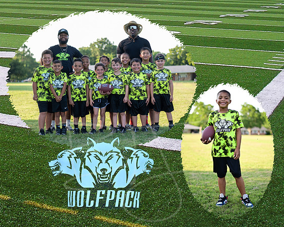 wolfpack010